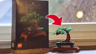 Ich baue den LEGO 10281 Bonsai Baum auf  ASMR in voller Länge [upl. by Ettenuahs861]