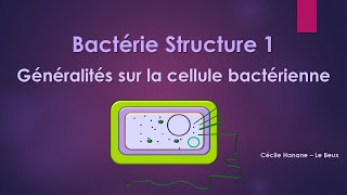 Bactérie Structure 1 BACTERIE [upl. by Godewyn243]