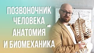 Позвоночник Человека Анатомия и Биомеханика Строение и Движения [upl. by Derag632]