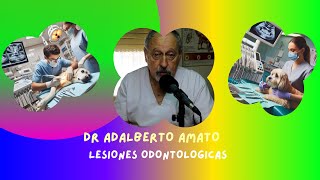 LESIONES ODONTOLÓGICAS  ALGUNAS PREVENCIONES odontologiaveterinaria perros gatos [upl. by Ahcatan]