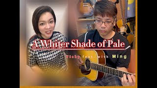 A Whiter Shade of Pale  Procol Harum Windsong Acoustic Cover 0353 [upl. by Yrevi]