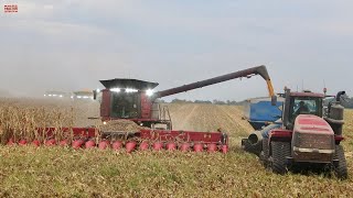 CASE IH 9250 AxialFlow Combines Harvesting Corn [upl. by Nhabois]