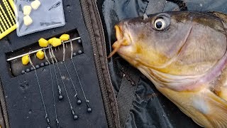 My favorite carp rig How to tie a hair rig and method lead Best Carp fishing rig [upl. by Ennagrom]