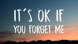 Astrid S  It´s Ok If You Forget Me Lyrics [upl. by Yenahs]