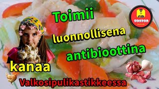 kanaa valkosipulikastikkeessa Toimii luonnollisena antibioottina [upl. by Paco]