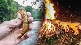 Pesca de Supervivencia 🦐 En Río Con Arpón 🔥 [upl. by Ruhtracm]