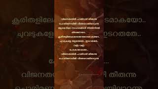 Vijanathayil 😇 trending viral malayalamlyrics [upl. by Anil408]