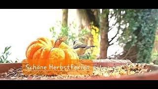 Schöne Herbstferien [upl. by Garner]