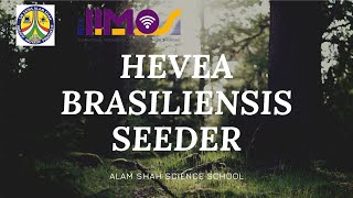 IIMOS 2021 IIMOS199  HEVEA BRASILIENSIS SEEDER [upl. by Madelaine233]