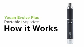 Yocan Evolve Plus Tutorial [upl. by Kraft17]