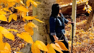 MRS G ADVENTURES🇺🇸 is live FALL FOLIAGE 2024 fall newjersey autumn [upl. by Isbella61]