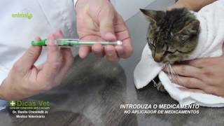 Clinica Animals  Dicas Vet 5  Como dar Comprimido para o seu Gato [upl. by Yrakcaz]