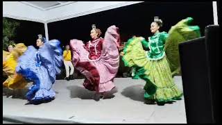 Nayarit grupo Folklórico TOLTEKIANI 💖 [upl. by Aihsat]