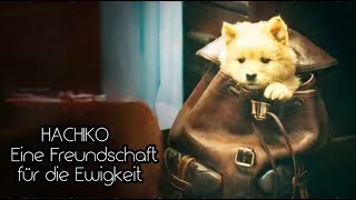 Unboxing  Hachiko Eine Freundschaft für die Ewigkeit DVD  Plaion Pictures German [upl. by Janetta840]