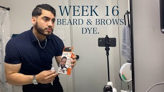 Growing My Beard With Minoxidil Week 16 Dying Beard [upl. by Mackenie]