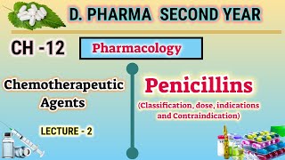 Penicillins  CH12  L2  Pharmacology  Chemotherapeutic agents  DPharm second year [upl. by Erehs704]