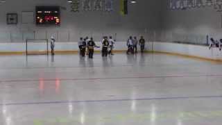 Broomball fight  Odessa 2014 [upl. by Nhojleahcim744]