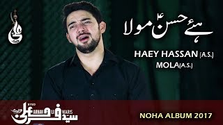 Farhan Ali Waris  Hay Hassan Mola  Noha  2017 [upl. by Shem492]