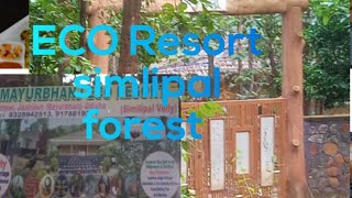 Orissa travel vlog  eco resort similipal  solo travel vlog ♥️ [upl. by Innos49]