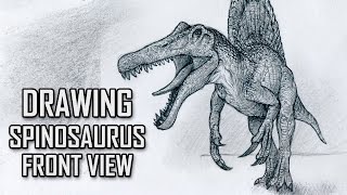 Drawing Spinosaurus Front View from Skeleton Photo Timelapse [upl. by Annat]