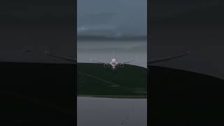 FedEx 757 Bird Strike aviation pilot rfs realflightsimulator landing plane avgeek fedex [upl. by Aretahs652]