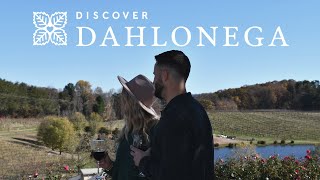 Discover the Heart of Dahlonega Georgia [upl. by Merriman]