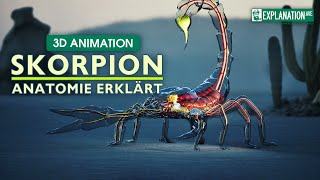 Anatomie des Skorpions Faszinierende Einblicke 🦂⭐️⭐️⭐️ [upl. by Swerdna49]