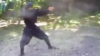 The 9th Kyu of Ninjutsu the Art of War [upl. by Lenra]