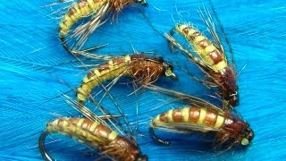 Tying the McPhail Caddis Pupa by Davie McPhail [upl. by Ayekan]