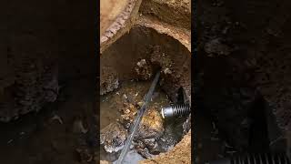 Septic System Alert Time to Replace Your Distribution Box home realestate fail construction [upl. by Hgielime]