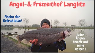 Forellenangeln im Winter Lachsforellen Powerbait Angelhof Langlitz Angeln Big Trout Fishing [upl. by Tadeo]