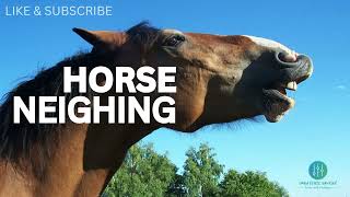 Horse Sound Effects  Horse Neighing  Download Copyright Free Sound Effects [upl. by Land71]