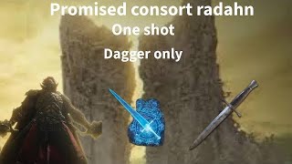 Promised Consort Radahn dagger only  one hit [upl. by Simara946]