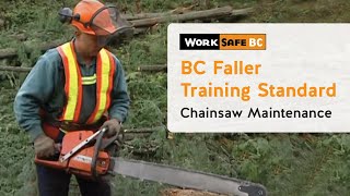 BC Faller Training Standard  Chainsaw Maintenance 3 of 17 [upl. by Anifares]