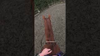 Appauling horse riding no gear and no idea 🤪🤣 horse horseriding equestrian [upl. by Alim588]