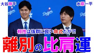 大谷翔平さんと水原一平さんの相性と運勢 大谷翔平 水原一平 離婚 相性診断 四柱推命 四柱推命勉強 四柱推命講座 [upl. by Rivkah]