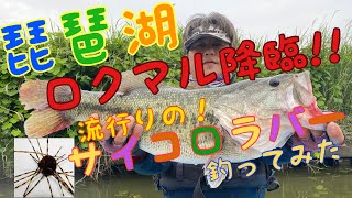 琵琶湖 ロクマル降臨‼ 流行りのサイコロラバー 釣してみた [upl. by Sheba]