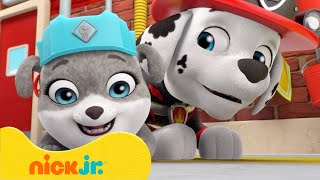 The Crew and Marshall Build a Fire Station  Rubble amp Crew  Nick Jr UK [upl. by Enitnelav764]