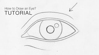 How to draw an eye from any angle for BEGINNERS Basic proportions  EASY [upl. by Akim491]