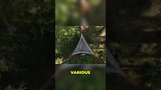 Elevate Your Camping Tentsile Stingray Tree Tent Review [upl. by Flann]