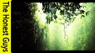 Relaxation Music  1 Hour Gentle Rain Meditation [upl. by Enoval898]