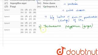 Select the correct option AquotPropionibacteriumquotiquotCitric acidquot [upl. by Ekusoyr]