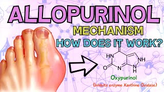 Allopurinol Zyloprim  HOW DOES IT WORK Mechanism of Action Explained in 2 Minutes [upl. by Egroeg591]