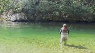 Fly Fishing the Blue Quill Hatch in the Great Smoky Mountains [upl. by Koo565]