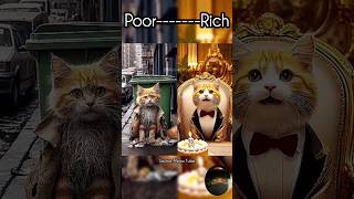 Poor and rich cat 12 catcatstoryviralviralcatviralstorysadsadstorystoryfunnymeowmotion [upl. by Anaitat]