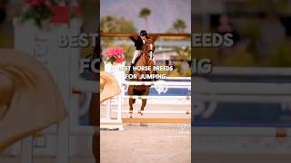 horse horseplay horsesports equestrian horseracing horseshow [upl. by Aliam]