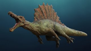 Spinosaurus  Spino Dinosaur [upl. by Adniuqal]