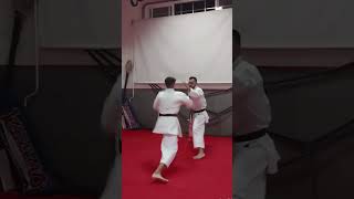 en la cabeza no karatetradicional karatemoves aprenderkarate martialarts [upl. by Elokin]