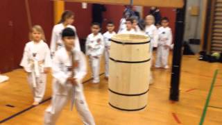 Fastelavn 2014 i Taastrup Taekwondo [upl. by Erland]