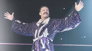 Robert Roode quotGlorious Dominationquot Arena  Crowd Effects [upl. by Ssirk]